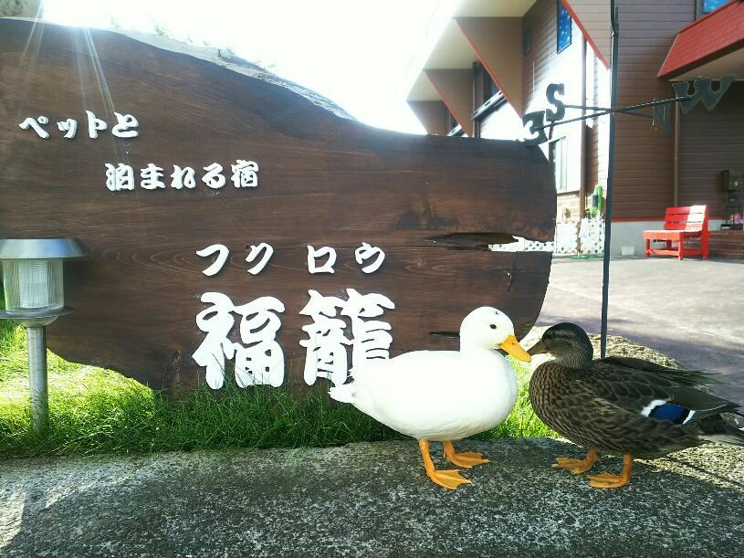 Fukurou Villa Kushimoto Exterior foto